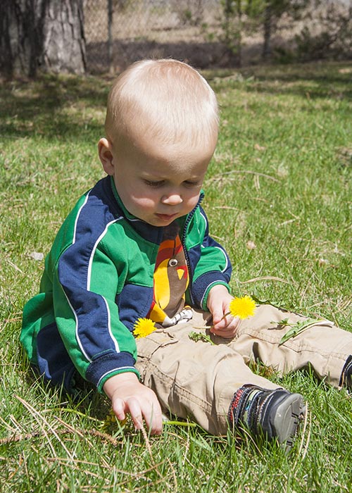 Elliot and the Dandelions